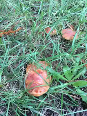 旭岱大山神社(北海道)