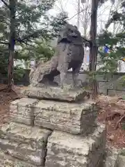 富良野神社の狛犬