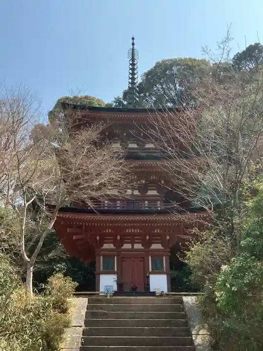 浄瑠璃寺(京都府)