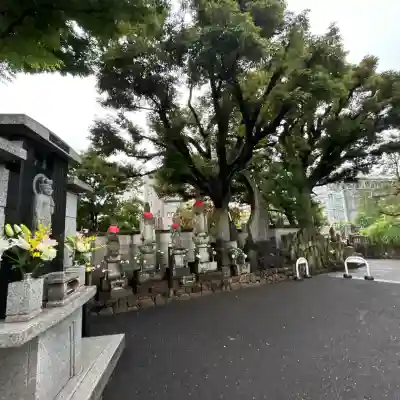 光明院(東京都)