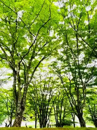 土津神社｜こどもと出世の神さまの景色