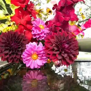 高司神社〜むすびの神の鎮まる社〜の手水舎(2020年08月10日(月) 09時36分45秒投稿)