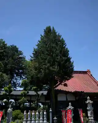 崇真寺(開運犬り切不動尊)(栃木県)