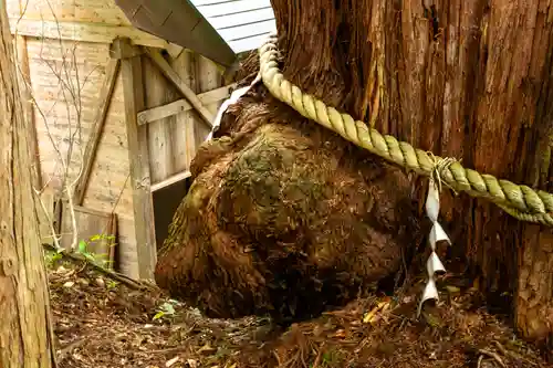 戸隠神社火之御子社(長野県)