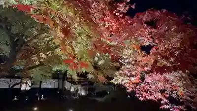 高台寺（高台寿聖禅寺・高臺寺）(京都府)