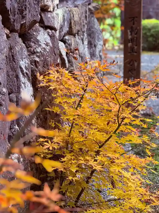 明通寺(福井県)