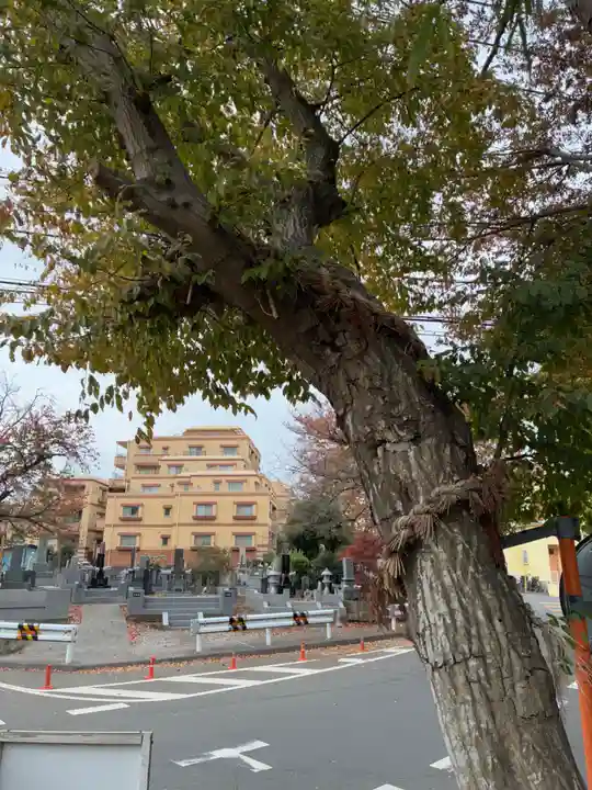 八坂神社(千葉県)