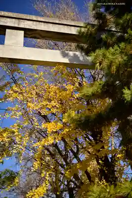 葛飾八幡宮(千葉県)