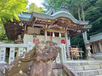 湯泉神社の狛犬