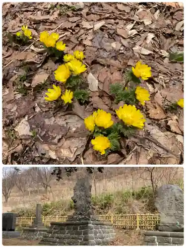 虻田神社の自然