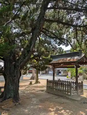 大元 宗忠神社(岡山県)