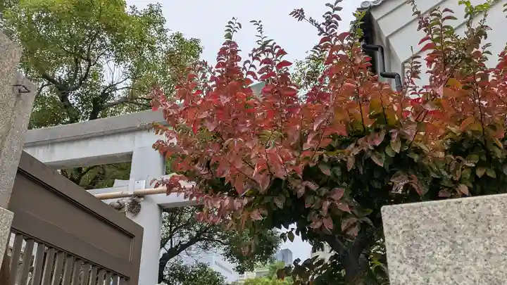 廣田神社の自然