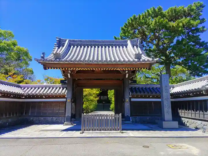 普元寺の山門・神門