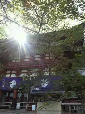 丹生都比売神社のその他建物