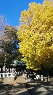 鶴嶺八幡宮(神奈川県)