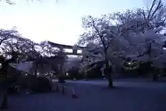 平野神社の建物その他