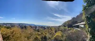 長谷寺の{uncategorized: "未分類", other: "その他", undefined: "問題あり", building: "その他建物", grave: "お墓", sacred_gate: "鳥居", guardian: "狛犬", statue: "像", buddha: "仏像", history: "歴史", nature: "自然", garden: "庭園", animal: "動物", pagoda: "塔", temizu: "手水舎", mountain_gate: "山門・神門", sanctuary: "本殿・本堂", subordinate: "末社・摂社", art: "芸術", scenery: "景色", jizo: "地蔵", ema: "絵馬", goshuin: "御朱印", omikuji: "おみくじ", items: "授与品その他", amulet: "お守り", goshuincho: "御朱印帳", eats: "食事", festival: "お祭り", votive_dance: "神楽", shichigosan: "七五三参", wedding: "結婚式", experience: "体験その他", initially: "初詣", around: "周辺", anti_infection: "感染症対策"}