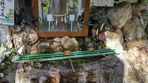 椙本神社の手水舎