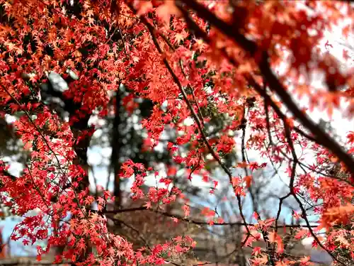 眞田神社の自然