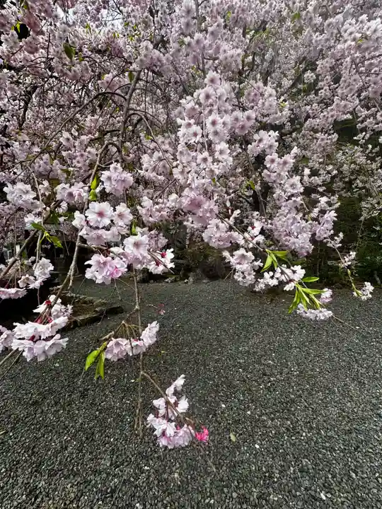慈眼寺(京都府)