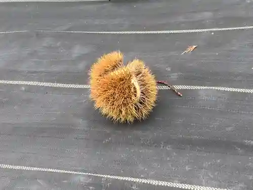 善慧寺、善恵寺(岐阜県)