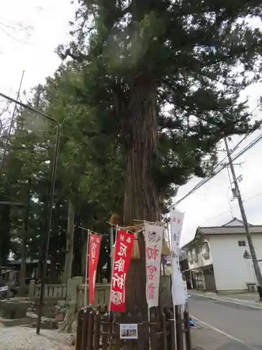 阿禮神社の自然