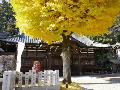 照光寺のその他建物