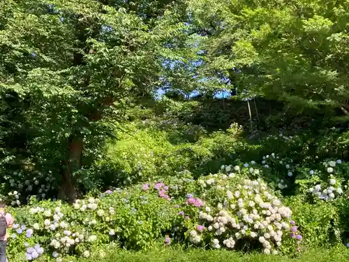 天台宗　長窪山　正覚寺の自然