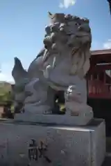 氷川神社の狛犬