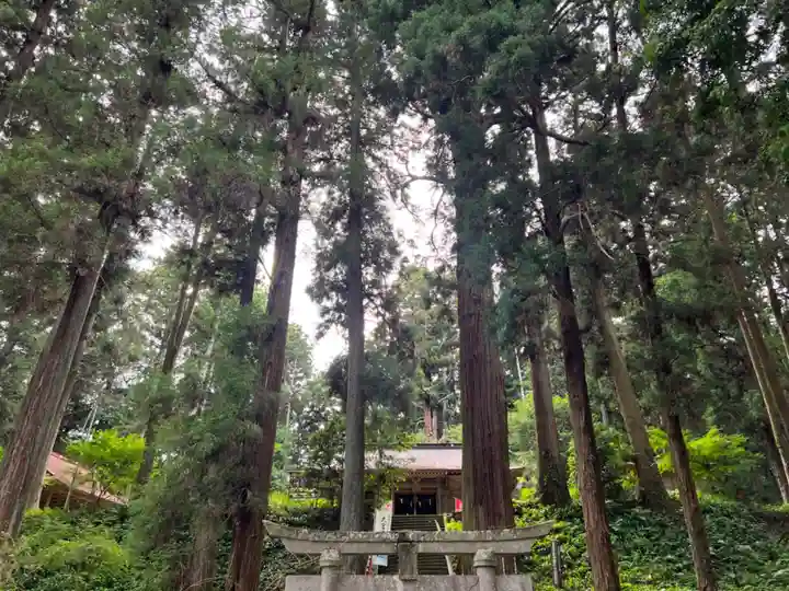 大宮温泉神社(栃木県)