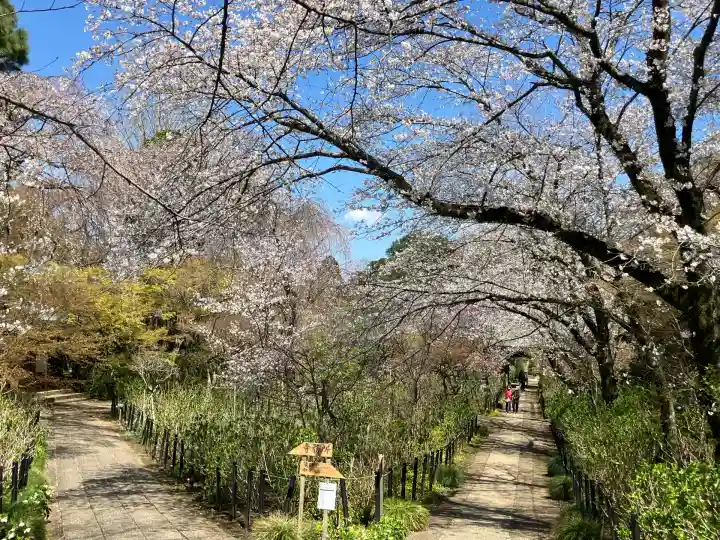 本土寺(千葉県)