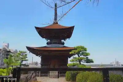 大樹寺（松安院大樹寺）(愛知県)