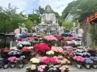 南法華寺(壷阪寺)(奈良県)