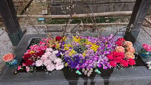 前玉神社の手水