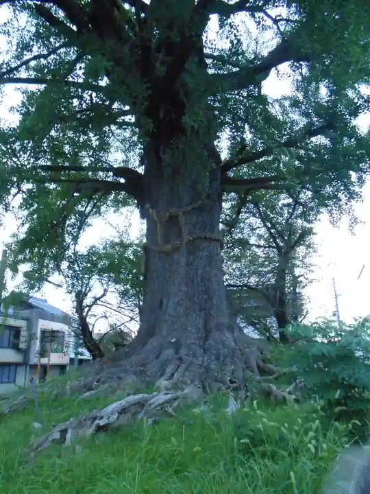 津島神社 御旅所跡(愛知県)