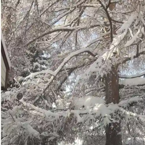 彌彦神社　(伊夜日子神社)の自然