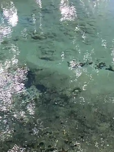 泉神社(茨城県)