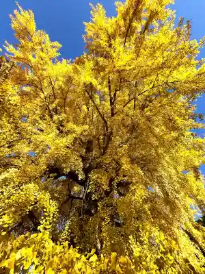 丹生酒殿神社(和歌山県)