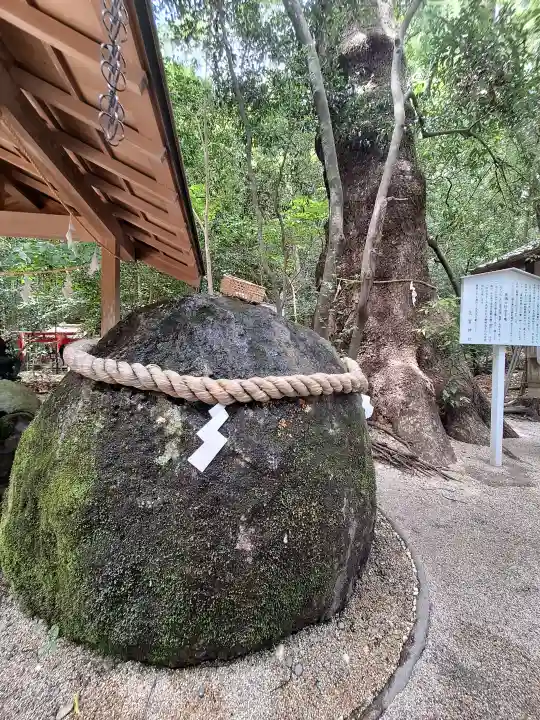 花窟神社の{uncategorized: "未分類", other: "その他", undefined: "問題あり", building: "その他建物", grave: "お墓", sacred_gate: "鳥居", guardian: "狛犬", statue: "像", buddha: "仏像", history: "歴史", nature: "自然", garden: "庭園", animal: "動物", pagoda: "塔", temizu: "手水舎", mountain_gate: "山門・神門", sanctuary: "本殿・本堂", subordinate: "末社・摂社", art: "芸術", scenery: "景色", jizo: "地蔵", ema: "絵馬", goshuin: "御朱印", omikuji: "おみくじ", items: "授与品その他", amulet: "お守り", goshuincho: "御朱印帳", eats: "食事", festival: "お祭り", votive_dance: "神楽", shichigosan: "七五三参", wedding: "結婚式", experience: "体験その他", initially: "初詣", around: "周辺", anti_infection: "感染症対策"}
