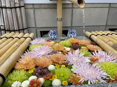 【閉業】小石川大神宮(東京都)