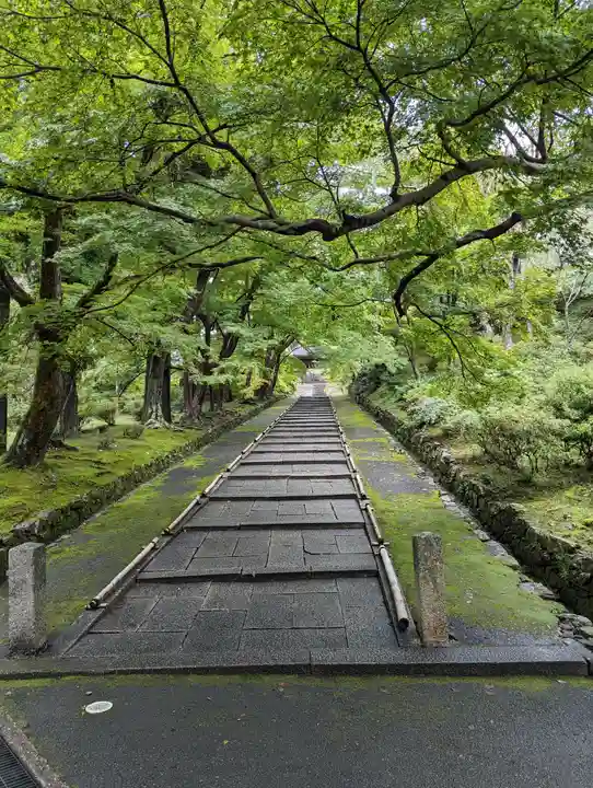 毘沙門堂門跡(京都府)