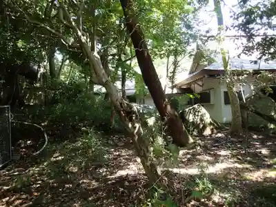 保久良神社の自然