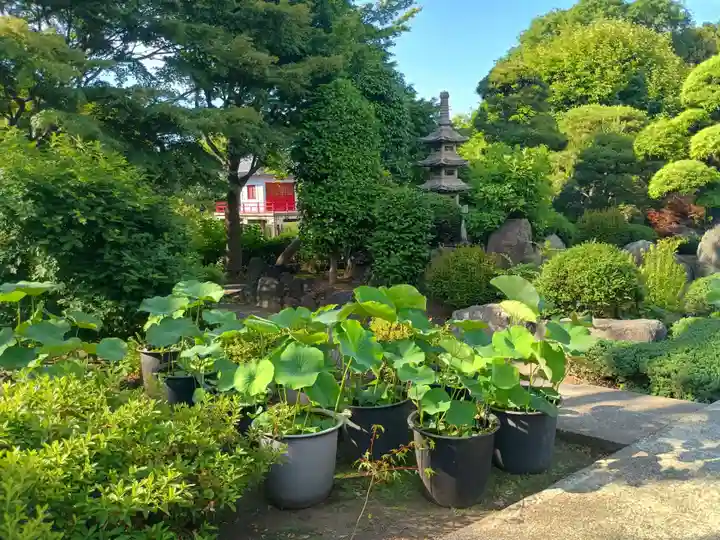 高源院(東京都)