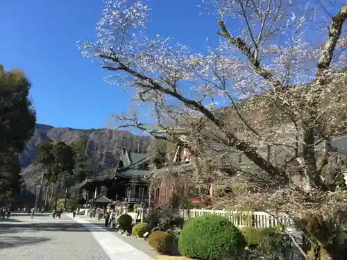 久遠寺の景色