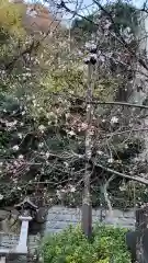 日枝神社の建物その他