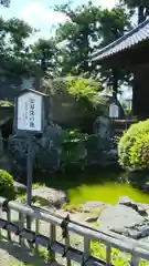 観世寺の庭園