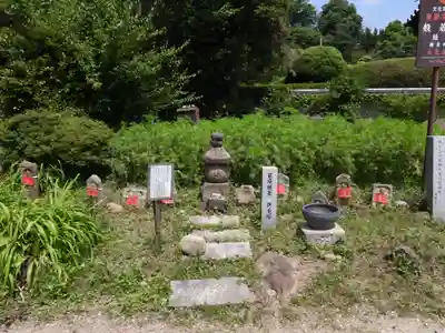 般若寺 ❁﻿コスモス寺❁(奈良県)