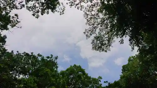 神明社（国府宮神明社）の自然