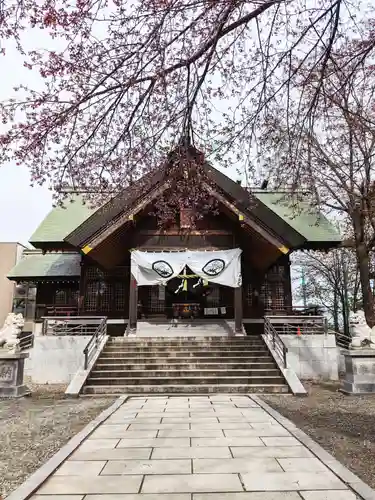 信濃神社の本殿・本堂