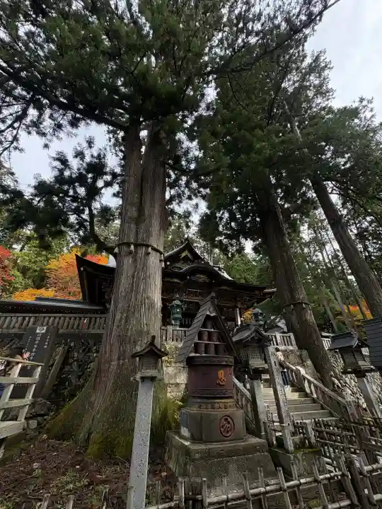 三峯神社(埼玉県)